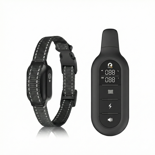 Black dog training collar with remote on a white background